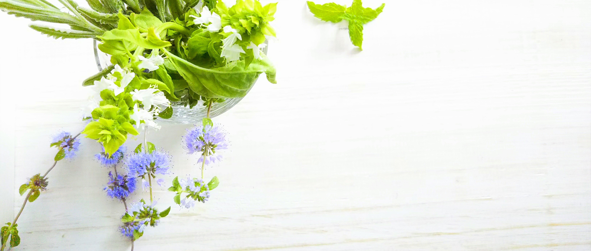 延岡市柳沢町、大瀬橋北詰停留所、整形外科 内科